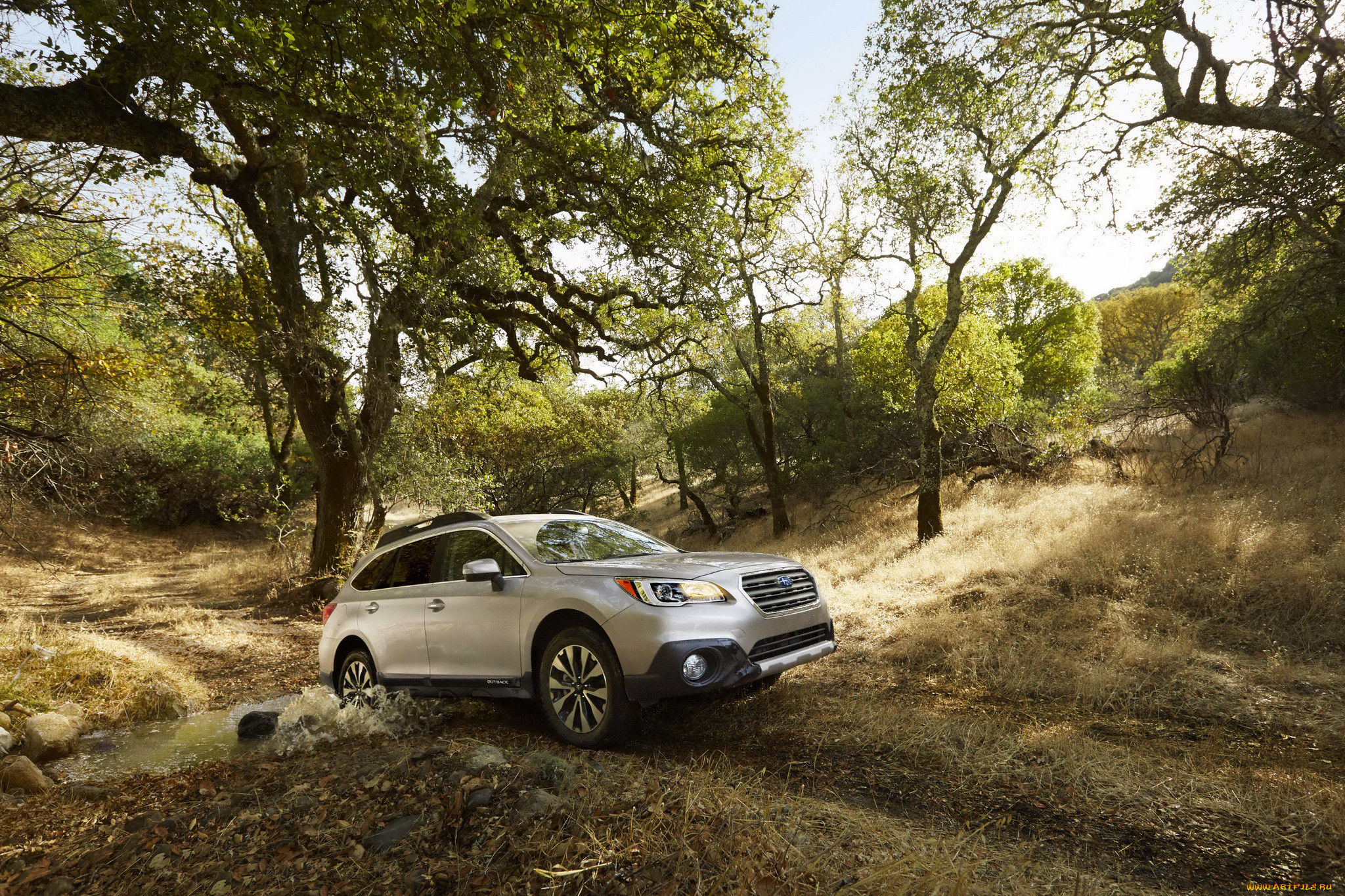 2015 subaru outback, , subaru, , , outback